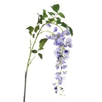 Глициния сиреневая, 142см (18) (00002219)