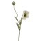 Цветок искусственный длина=90 см "мак белый" Huajing Plastic (23-286) 