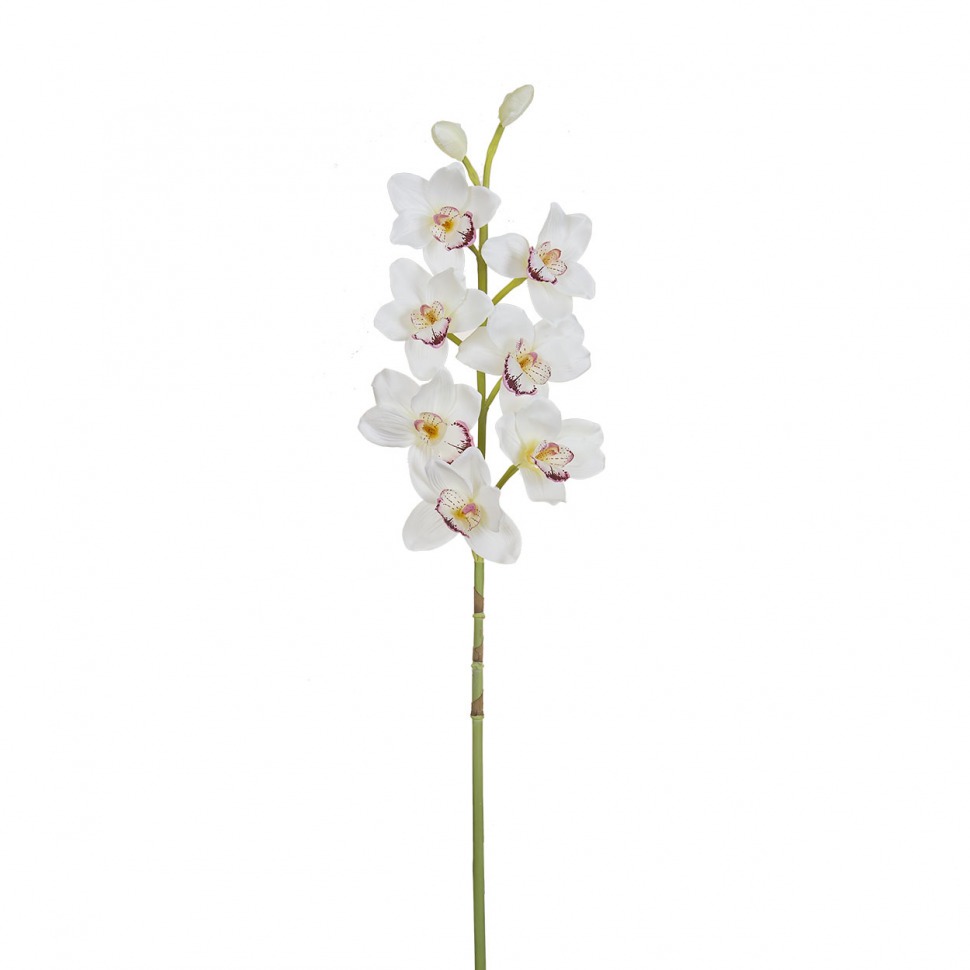 Орхидея белая, 101см (12) - 00002221