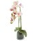 Декор.цветы Орхидея св.розовая в стекл.вазе - DG-F6836LP Dream Garden