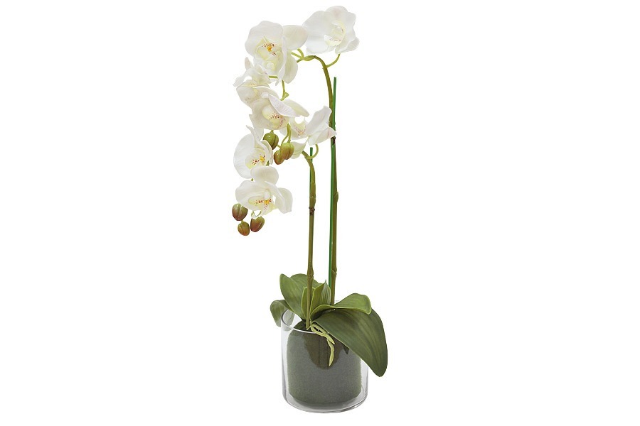 Декор.цветы Орхидея белая в стекл.вазе - DG-F6836W Dream Garden
