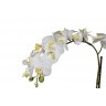Орхидея белая в горшке h46см (TT-00001351)