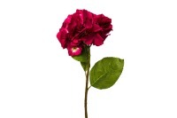Гортензия алая 62см (12) (TT-00000032)