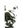Листья эвкалипта 90 см (24) (TT-00000677)