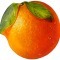 Блюдо "апельсин" 21*21 см без упаковки Lefard (33-092)