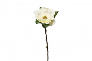 Магнолия белая 72см (12) (TT-00000026)