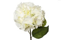 Гортензия белая 62см (12) (TT-00000031)