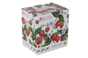 Пара чайная, 1 перс, 2 пр, 480 мл, фарфор F, белая, Земляника, Orchard Fruits - MW637-PB8107 Maxwell & Williams