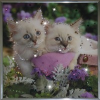 Картина Котята с кристаллами Swarovski (1183)