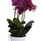 Орхидея темно-розовая в горшке, 64 см - TT-00000840