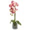 Декор.цветы Орхидея тём.розовая в стекл.вазе - DG-F6836DP Dream Garden