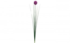 Алиум фиолетовый 75 см (120) (00002895)