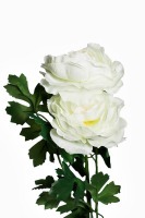 Пион розовый 62 см (12) (TT-00001008)