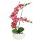 Декоративные цветы Орхидея бордо в керамической вазе - DG-13066-FU-AL Dream Garden