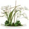 Декоративные цветы Орхидея белая на керамической подставке - DG-15005-AL Dream Garden