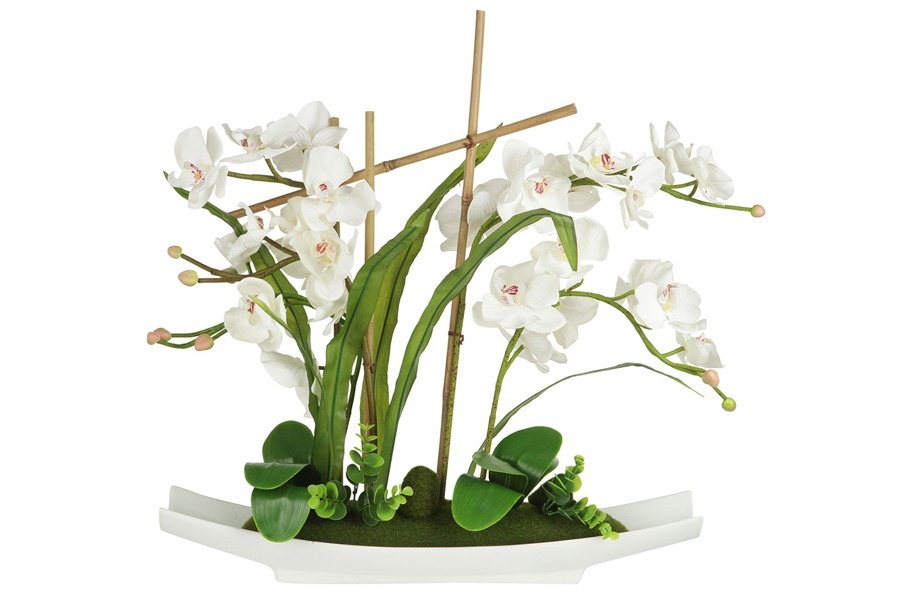 Декоративные цветы Орхидея белая на керамической подставке - DG-15005-AL Dream Garden