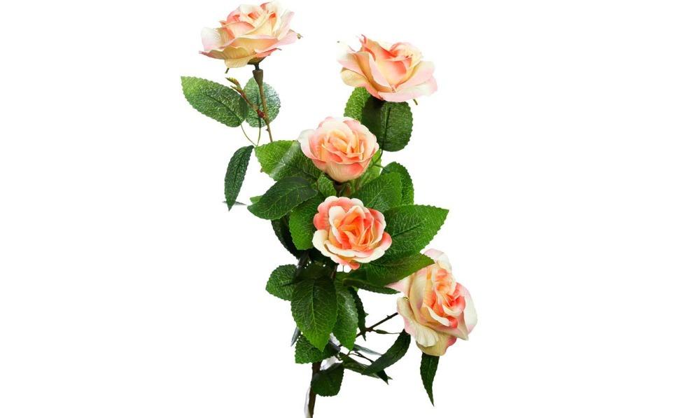 Роза нежно-розовая 71 см (12) - 00002893