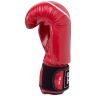 Перчатки боксерские Panther BGP-2098, 12 oz, красный (289930)
