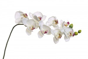 Орхидея белая 85 см (12) - 00001600