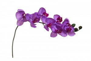 Орхидея лиловая 85 см (12) (00001602)