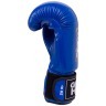 Перчатки боксерские Panther BGP-2098, 10 oz, синий (410984)
