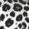 Постер "Леопард" 50*70см, багет черн. - TT-00001721