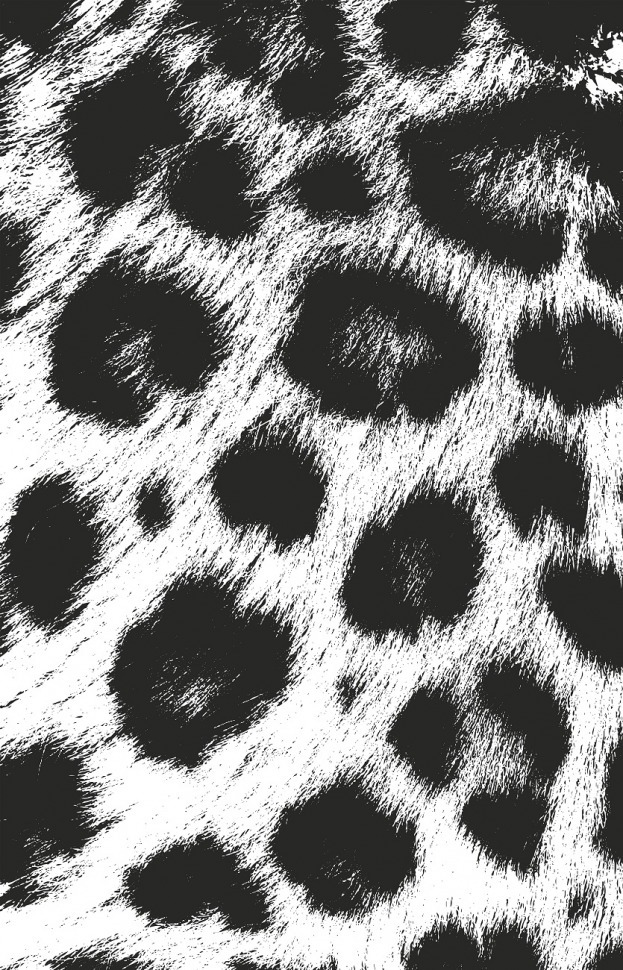 Постер "Леопард" 50*70см, багет черн. - TT-00001721