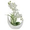 Декоративные цветы Орхидея белая в керам.вазе - DG-JA6041 Dream Garden