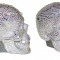 Череп Swarovski с кристаллами Swarovski (2043)