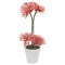 Декор.цветы Герберы св.коралловые в керам.вазе - DG-F6743 Dream Garden