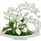 Декоративные цветы Орхидея белая c тюльпанами на керам подставке - DG-JA6100 Dream Garden