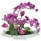 Декоративные цветы Орхидея сиреневая c тюльпанами на керам подставке - DG-JA6102 Dream Garden