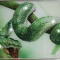 Картина Зеленый Змей с кристаллами Swarovski (1107)